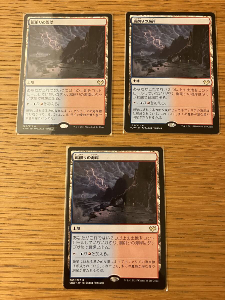 MTG 嵐削りの海岸/Stormcarved Coast 日本語3枚セットの画像1