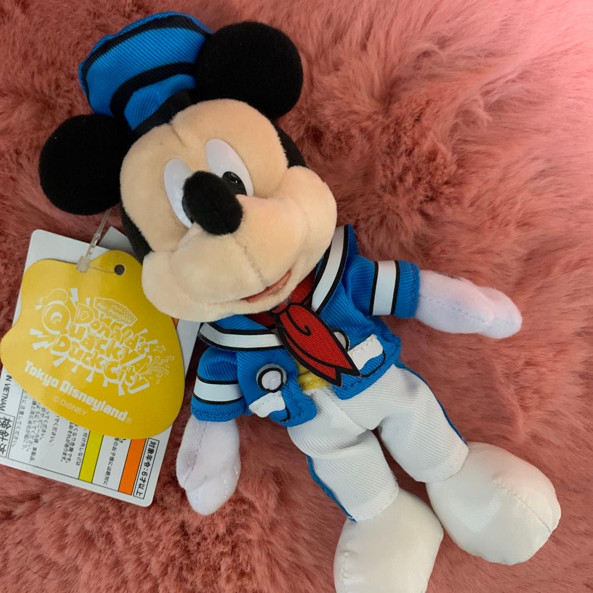 ディズニーパルパルーザ ドナルドのクワッキーダックシティー ディズニーパルパルーザ ドナルドのクワッキーダックシティー