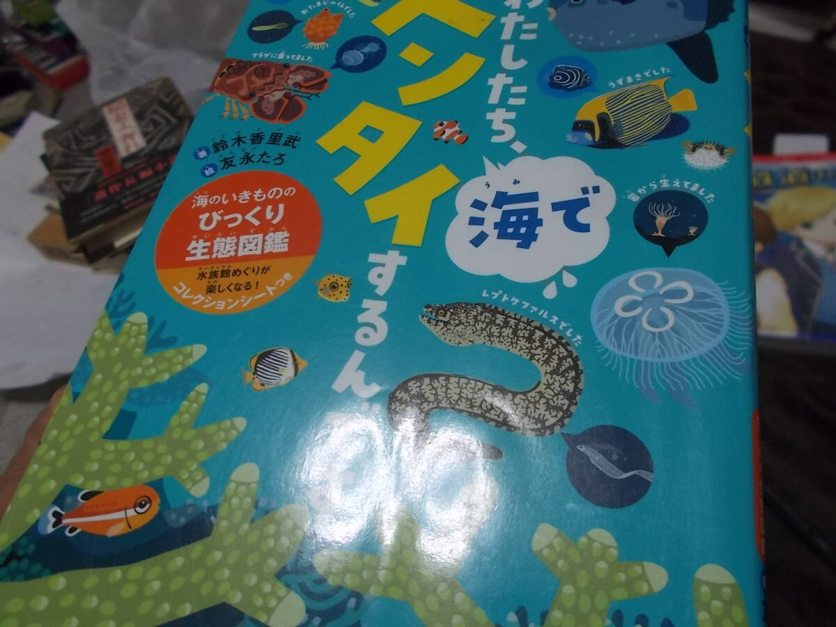  детская книга хлопчатник сделал ., море .hen Thai делать ..! море. . кимоно. удивлен сырой . иллюстрированная книга Suzuki ...(2019 год ) стоимость доставки 114 иен 