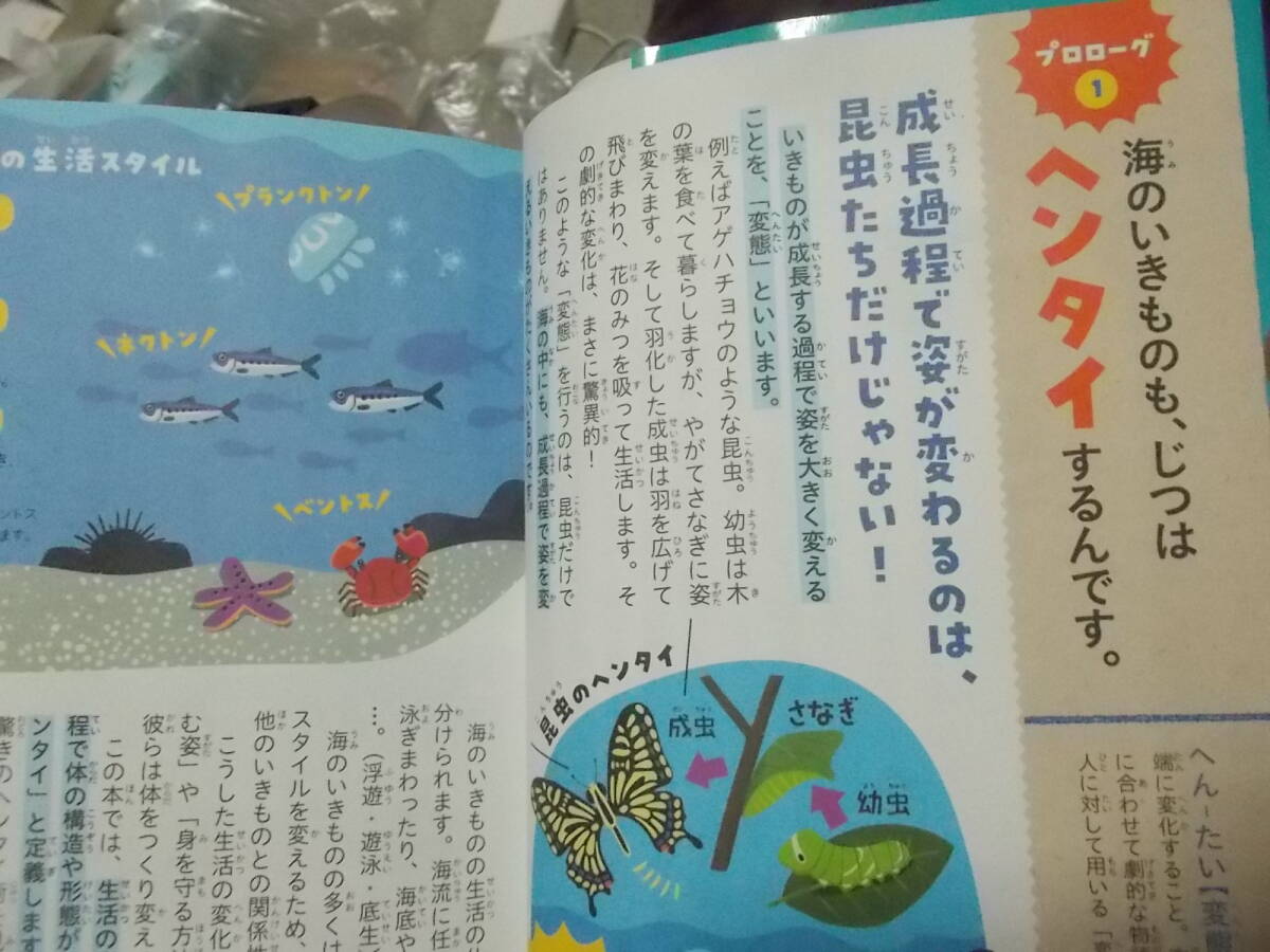 児童書　わたしたち、海でヘンタイするんです！海のいきもののびっくり生態図鑑　鈴木香里武(2019年)送料114円_画像5