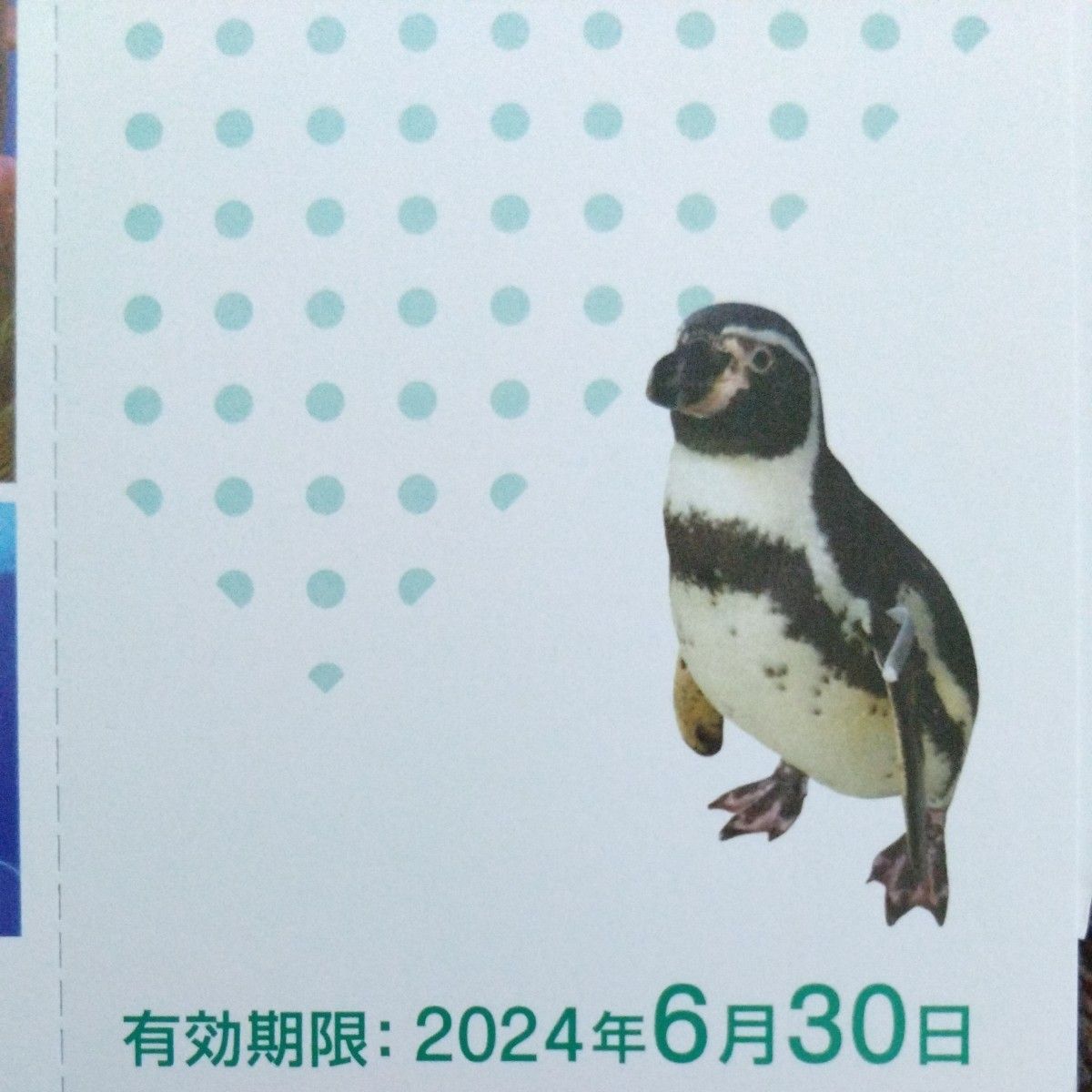 新江ノ島水族館ご招待券×２枚。