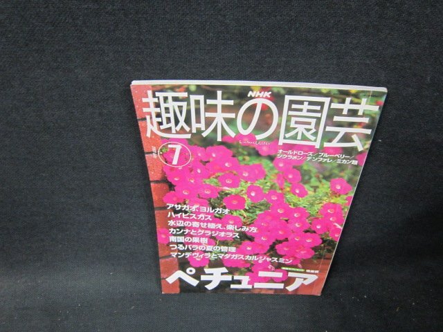 NHK趣味の園芸2001年7月号　ペチュニア　/TDC_画像1