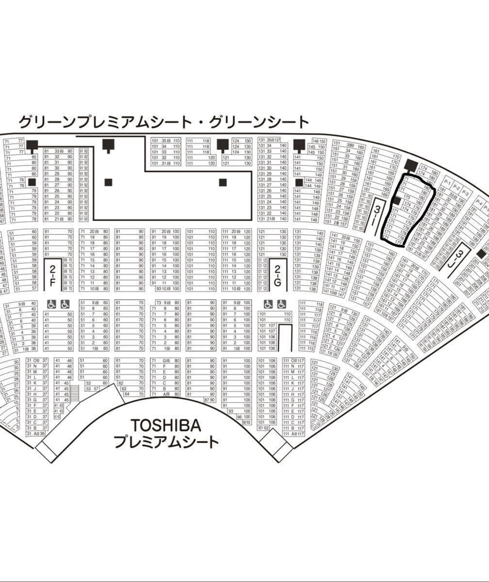 4/17(水)18:00 阪神タイガースVS巨人　甲子園　チケット　グリーンシート　ペア販売　中止補償あり_画像2