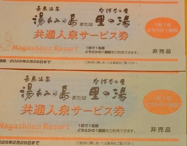 長島温泉　湯あみの島　なばなの里　里の湯　共通入泉券2枚