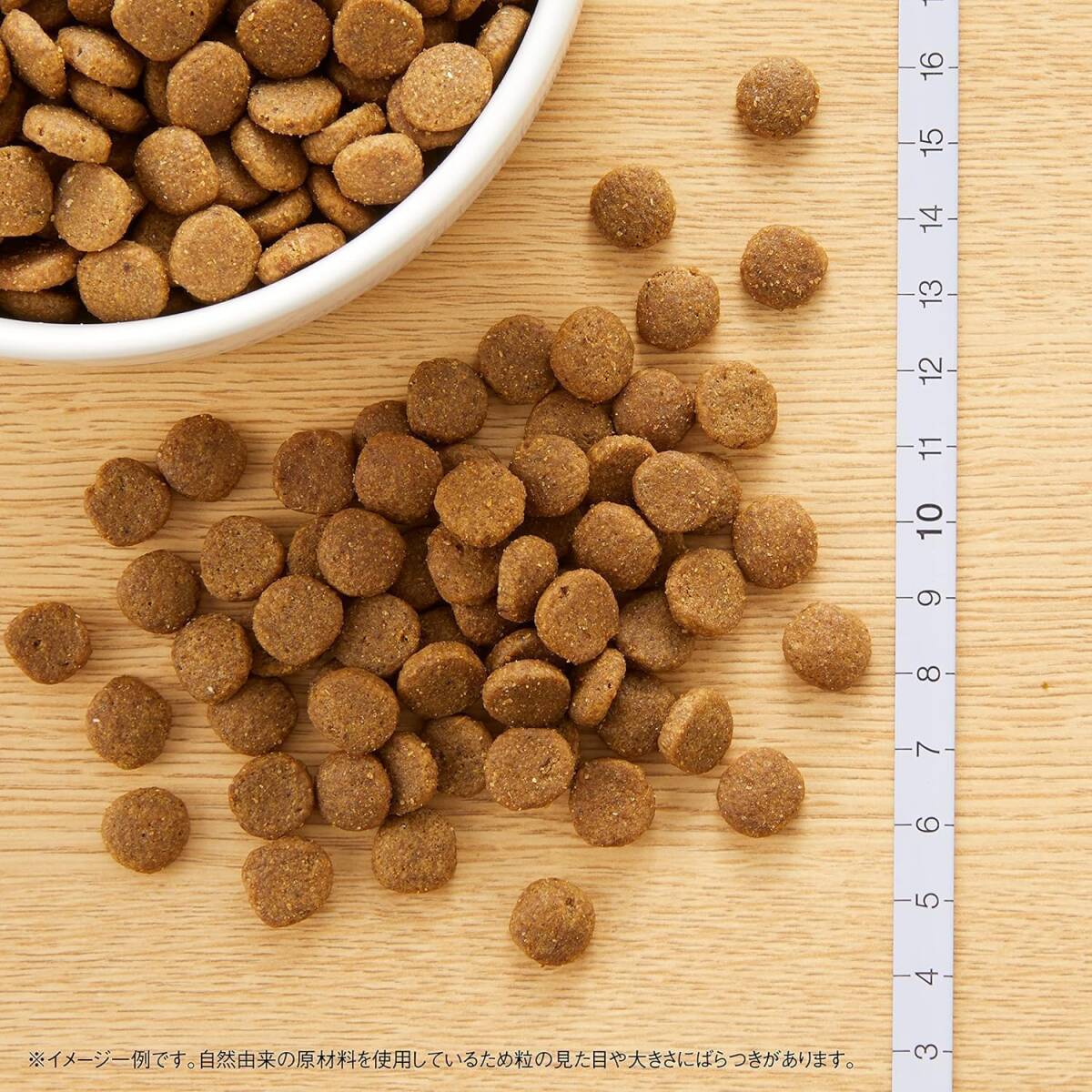 Nutro ニュートロ キャット ワイルド レシピ アダルト チキン 成猫用 2kg キャットフードグレインフリー/グルテンフリーの画像6