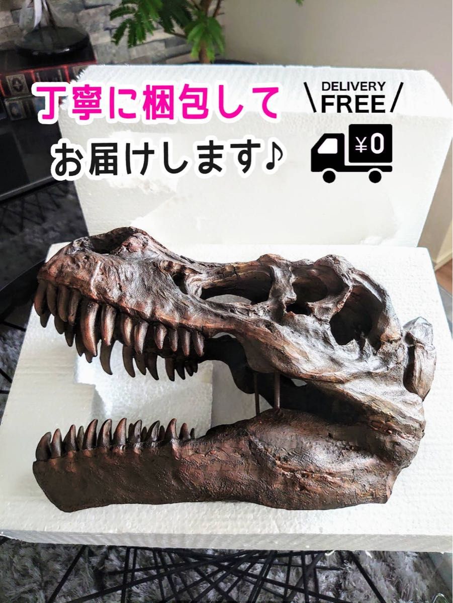 お得な2個セット】 ティラノサウルス & トリケラトプス 恐竜の お得な2個セット】 ティラノサウルス & トリケラトプス 恐竜の