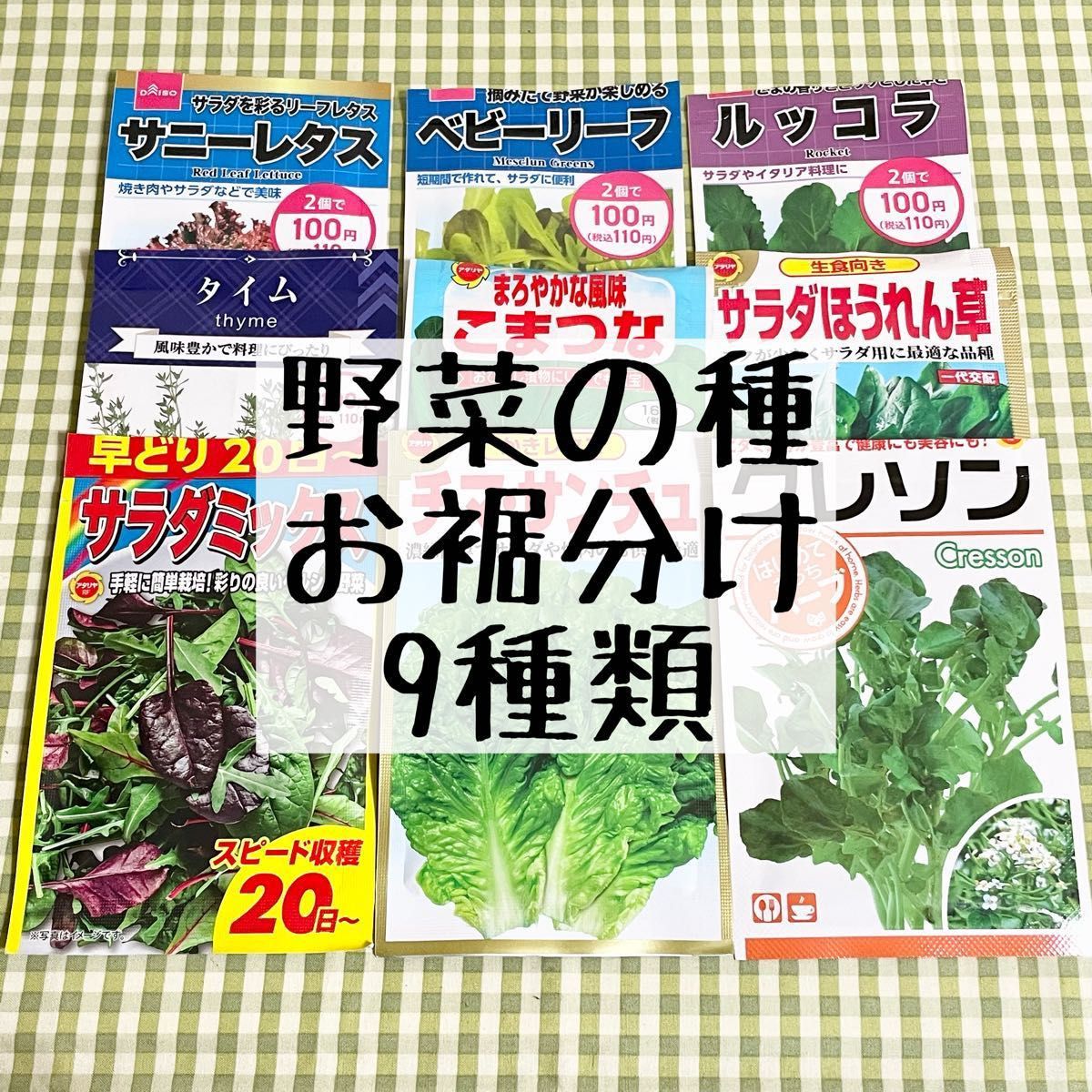 野菜の種 お裾分け 9種類 各15粒＋α