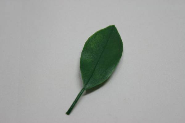 [ Sato .]...si Kimi. leaf artificial flower 