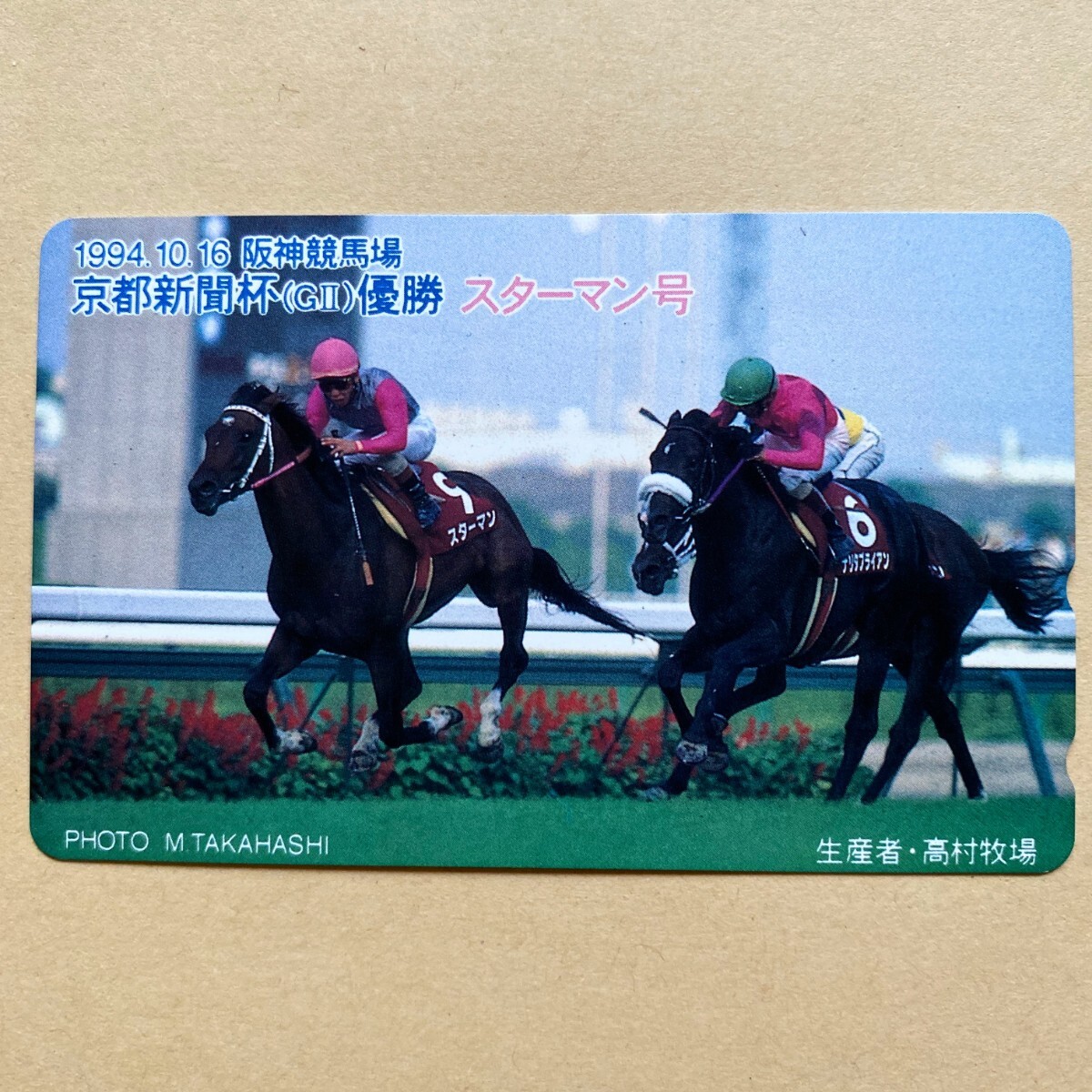 【未使用】競馬テレカ 50度 スターマン 京都新聞杯(GⅠI)優勝の画像1