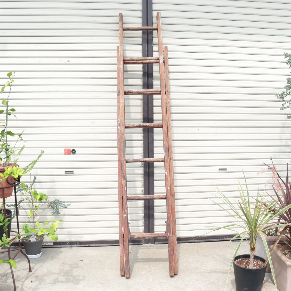 ヴィンテージ はしご セット ラック / アメリカ 木製 梯子 ladder ラダー ディスプレイ 店舗什器 ガーデニング アンティーク #506-295-54_画像10