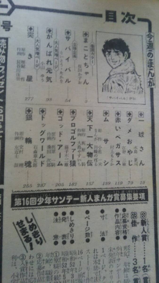 週刊少年サンデー　1977年14号　一球さん、まことちゃん、サバイバル、ゴッドアーム、プロゴルファー猿、他_画像6