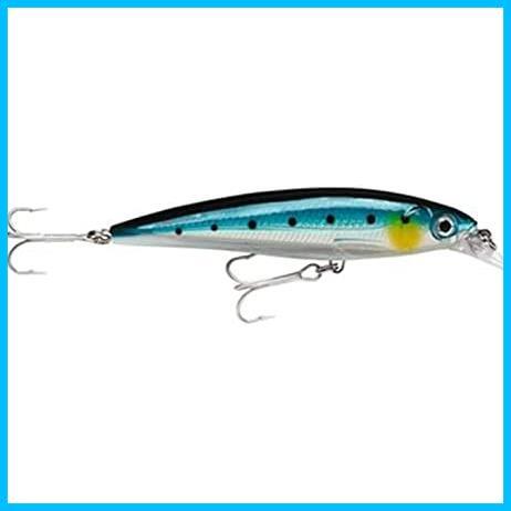 ★BSRD(イワシ)★ ラパラ(Rapala) ソルトウォーター エックスラップ SXR10 10cm/13g_画像1