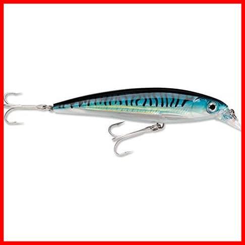 ★BSRD(イワシ)★ ラパラ(Rapala) ソルトウォーター エックスラップ SXR10 10cm/13g_画像3