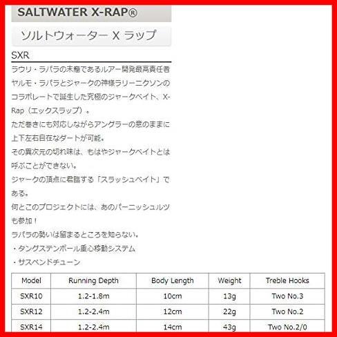 ★BSRD(イワシ)★ ラパラ(Rapala) ソルトウォーター エックスラップ SXR10 10cm/13g_画像2