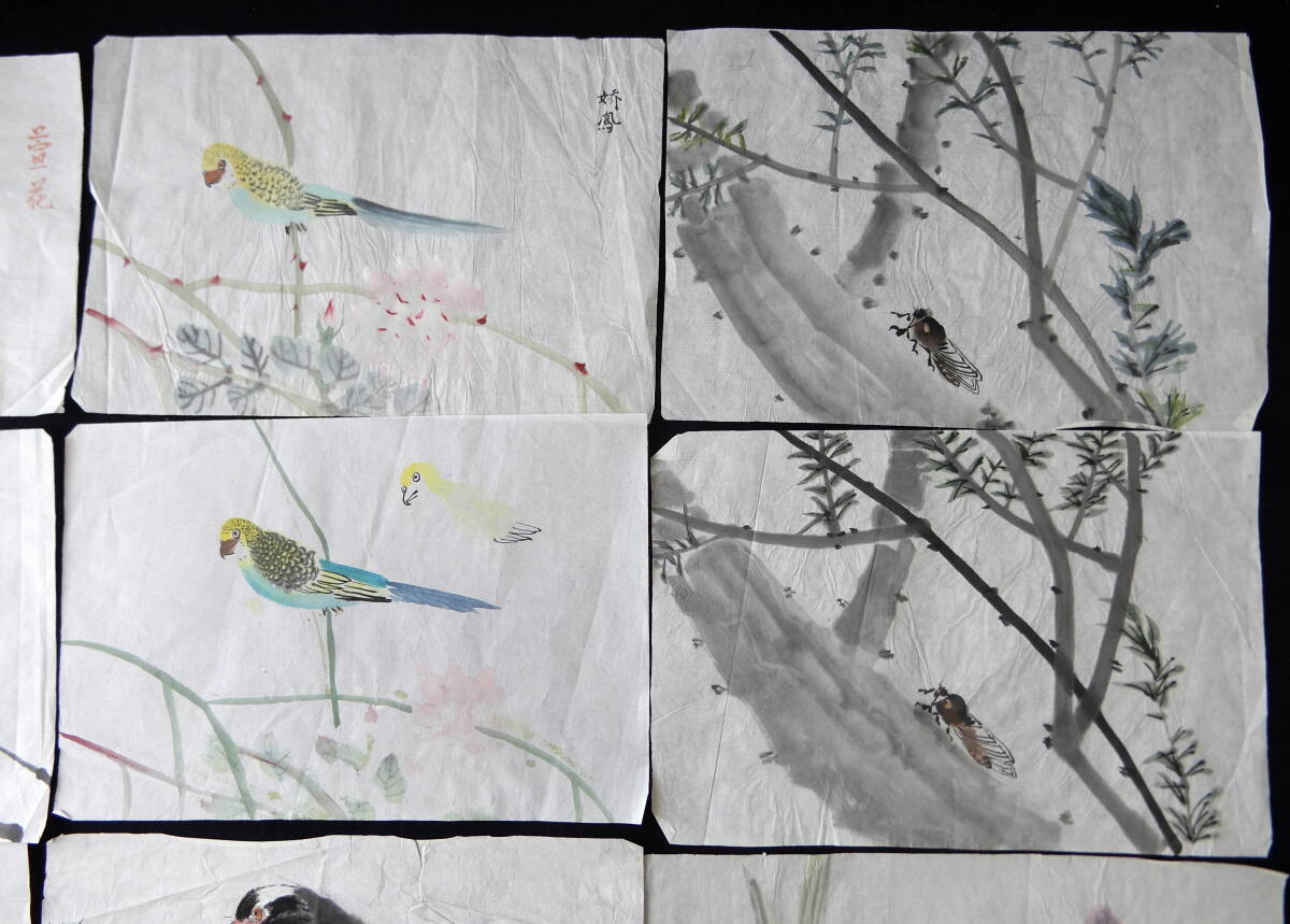 中国絵画　花鳥画　手描き　試作　9枚セット　手本　墨彩画　水墨画　書道　篆刻　１_画像4