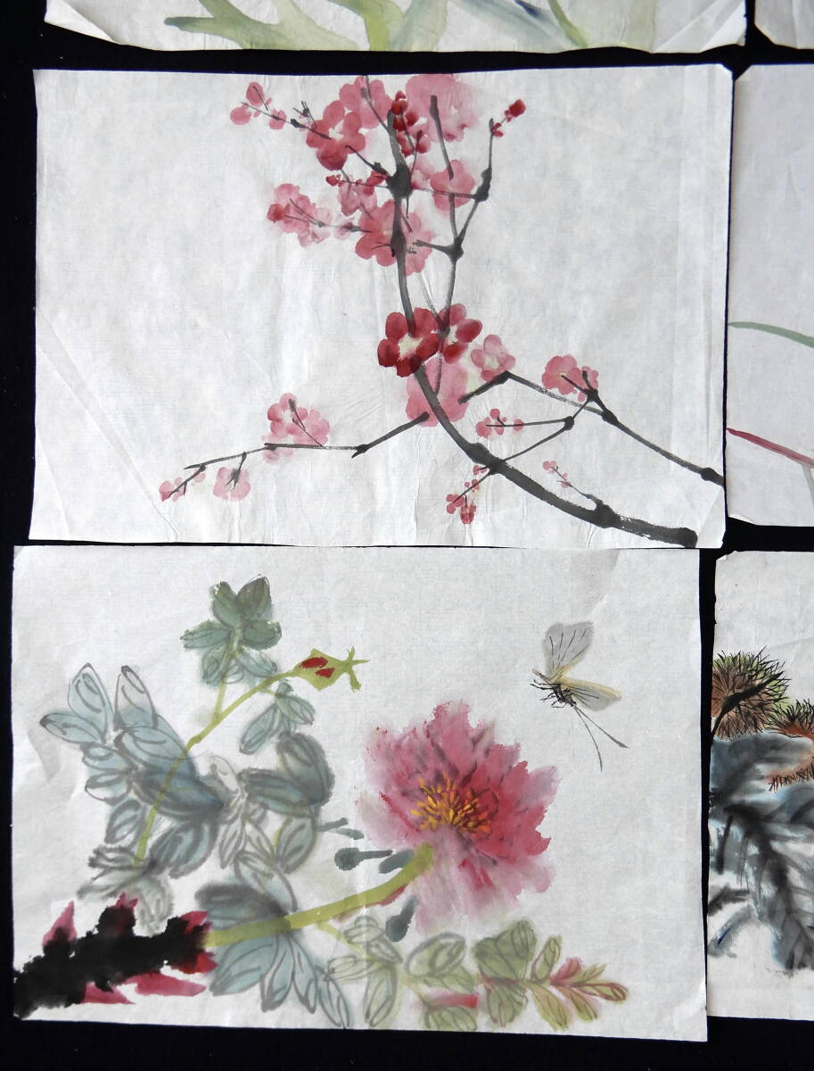 中国絵画　花鳥画　手描き　試作　9枚セット　手本　墨彩画　水墨画　書道　篆刻　１_画像6