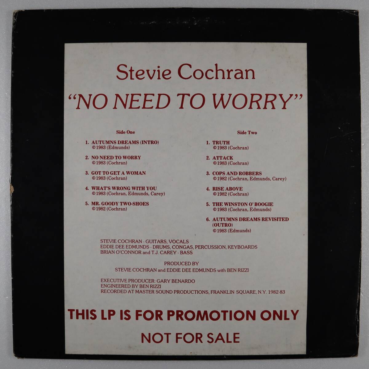 米Orig * STEVIE COCHRAN * No Need To Worry * US 自主盤 1983年 メロトロン入りハードロック 限定100枚プレス!! の画像1