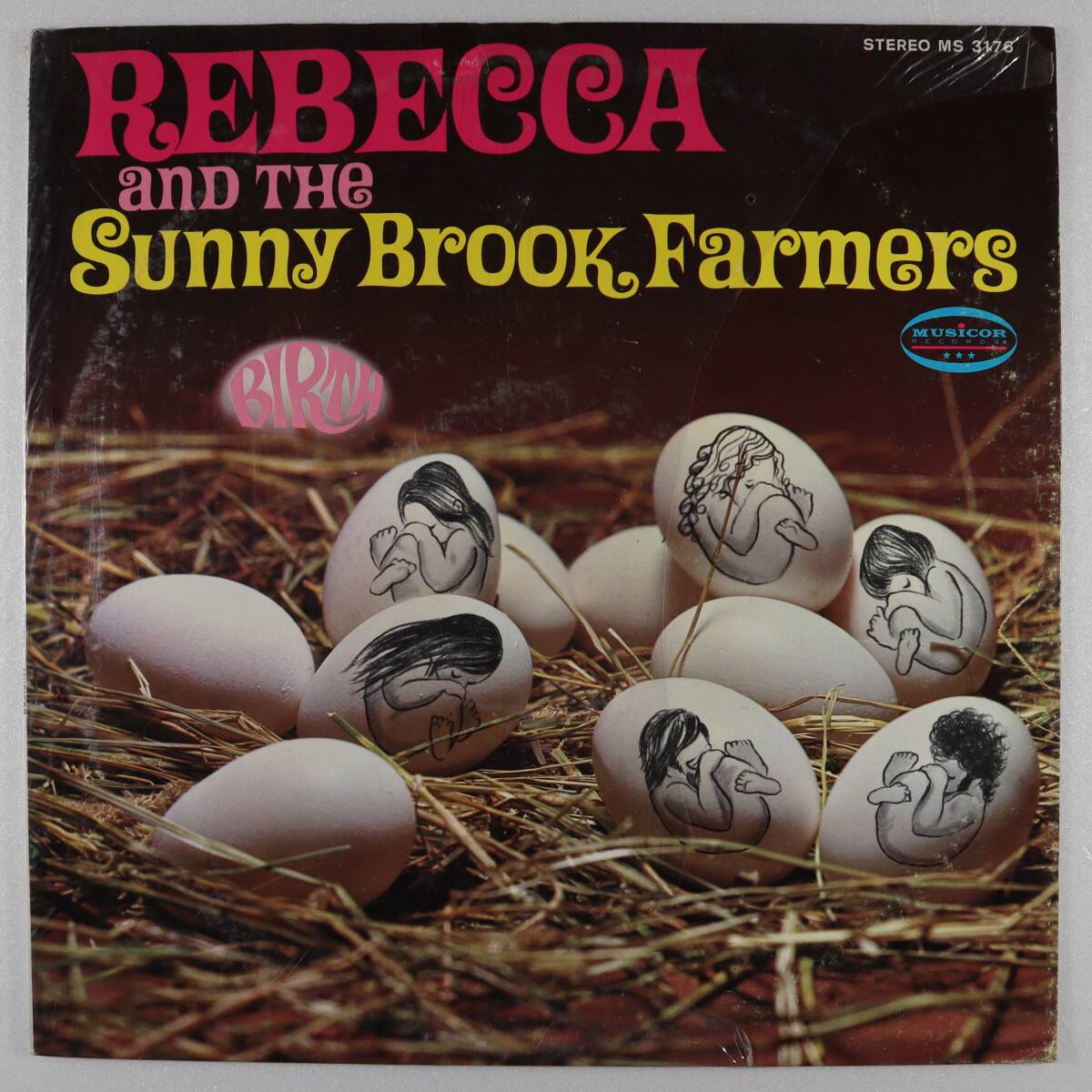 米Orig * REBECCA AND THE SUNNY BROOK FARMERS * Birth * US Musicor 1969年 男女VoサイケAcidフォーク プロト・プログレ 美盤!!の画像1