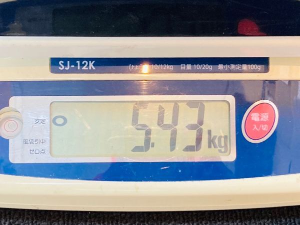 kmf05●日本古銭 メダル 約5kg以上 大量おまとめ 未選別 硬貨 日本銭 銅銭 アルミ銭 黄銅貨 レプリカ 記念メダル など●の画像10