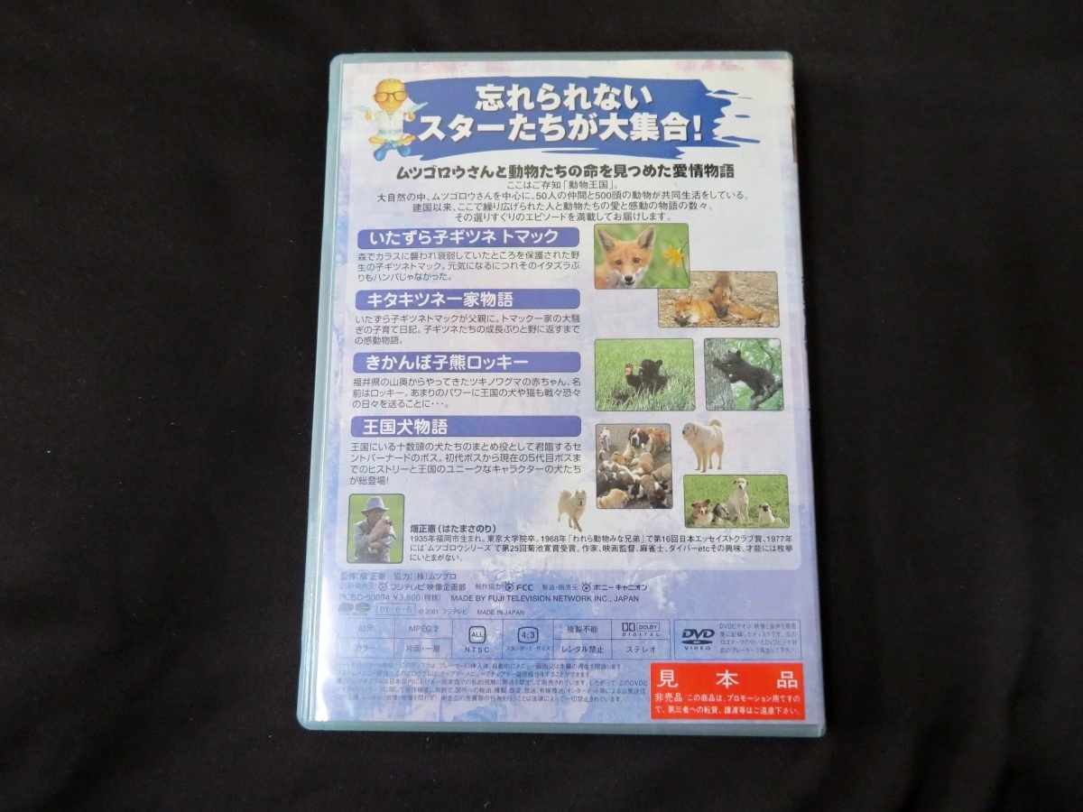 DVD ムツゴロウとゆかいな仲間たち 動物王国大全集 Vol.4　見本品　畑正憲_画像3