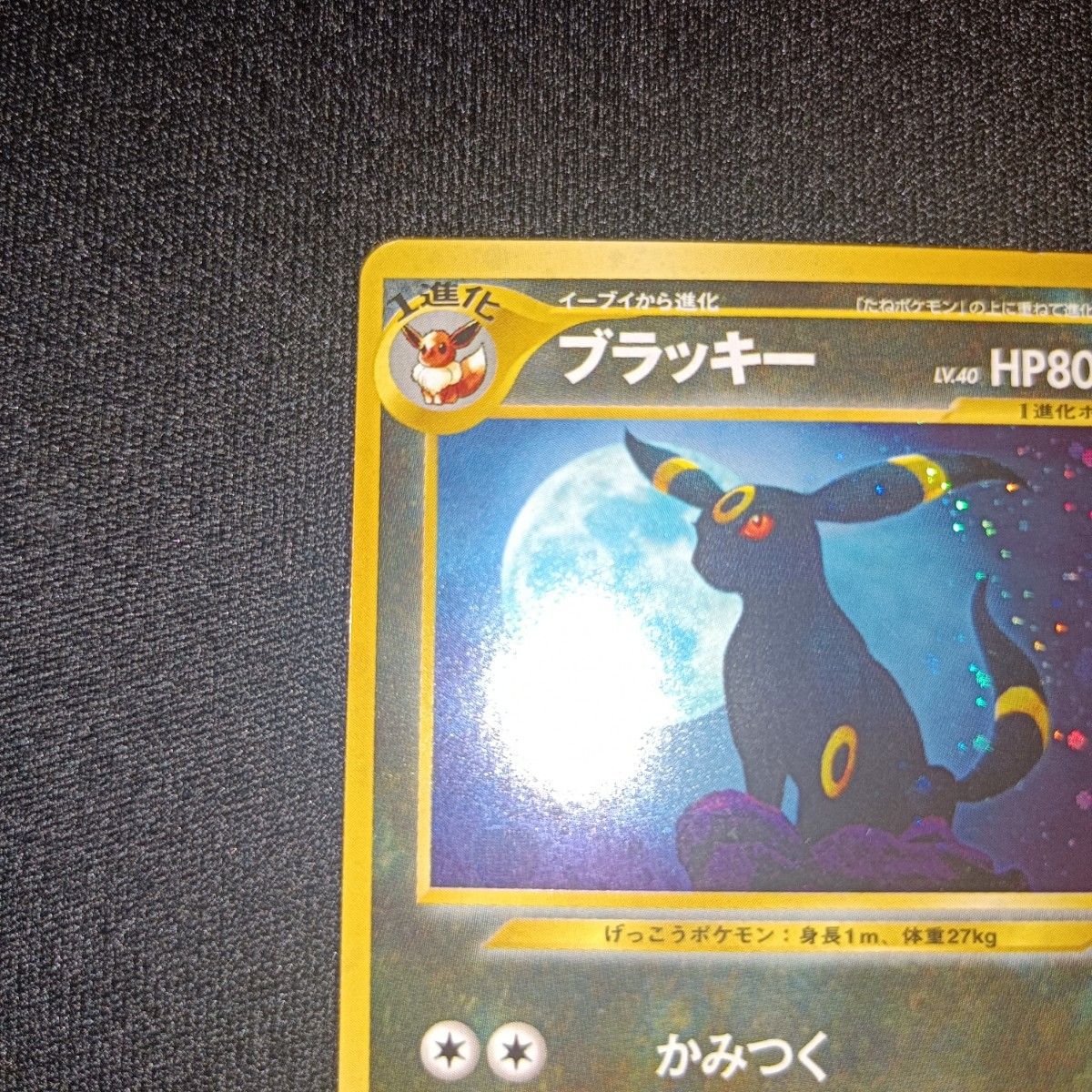 状態特価 ポケモンカード ポケカ 旧裏 ブラッキー ホロ LV 40 No 状態特価 ポケモンカード ポケカ 旧裏 ブラッキー ホロ LV 40 No
