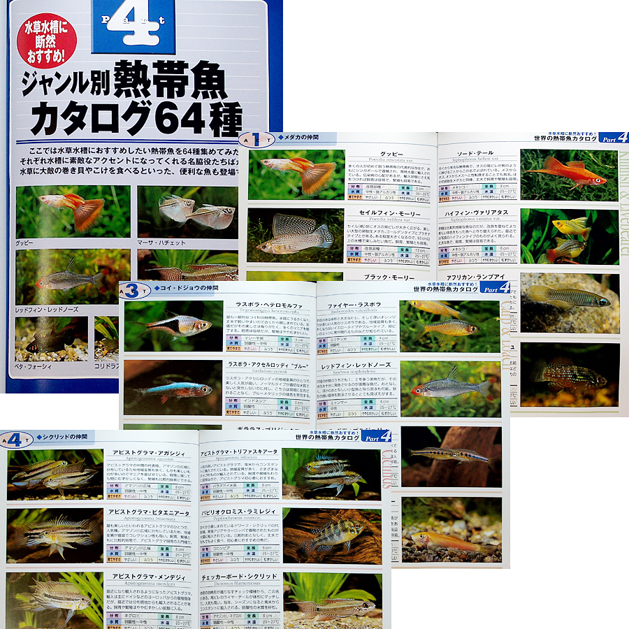 はじめての水草ガーデニング｜世界の水草145＆熱帯魚64種 図鑑 入門 選び方 育て方 水槽 レイアウト術 メンテナンス#sR_画像7