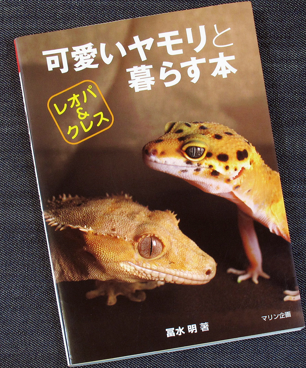  симпатичный ящерица ....книга@l популярный вид цвет иллюстрированная книга модель другой разведение закон .. person леопард mon ящерица mo при kre ste dogeko- Nippon ящерица s