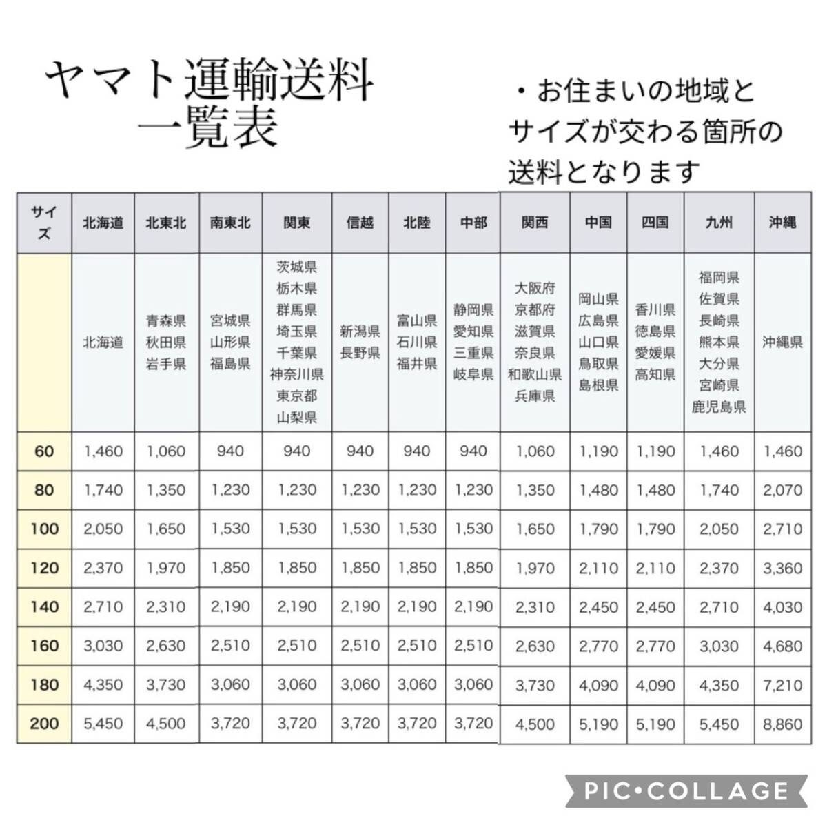 [4-20] Morris F-351i RBS アコースティックギター ソフトケース有りの画像10