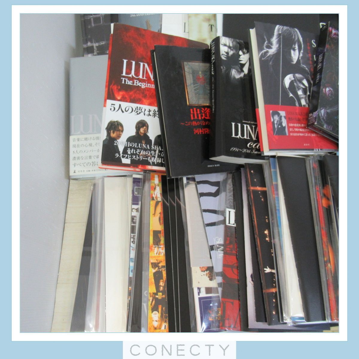 LUNA SEA INORAN グッズセット★フェイクカード SUGIZO J RYUICHI/写真集/パンフレット/会報 不揃い/CD/グラス8/他【R5【XXの画像4