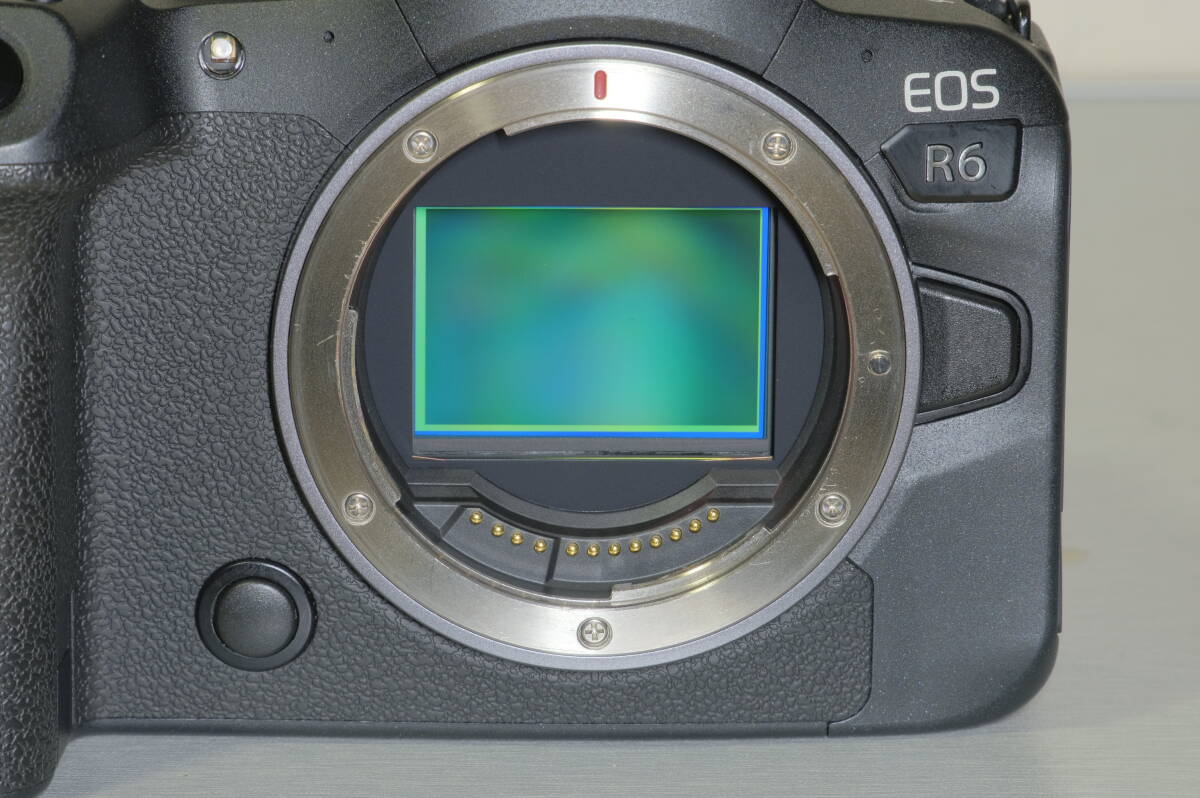 32800円 【中古】CANON EOS R6ボディ+マウントアダプター EF-EOS 32800円 【中古】CANON EOS R6ボディ+マウントアダプター EF-EOS