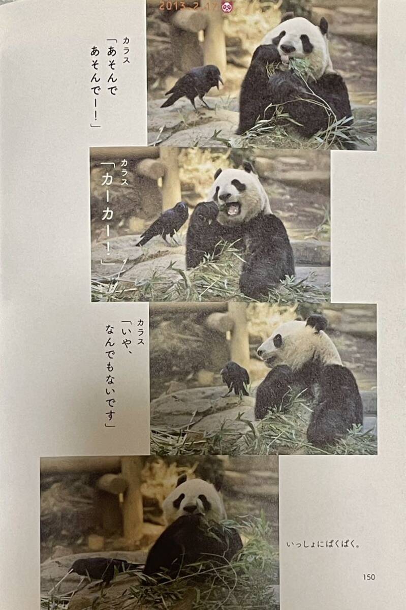 レア 上野動物園 パンダ シンシン 書籍切り抜き 毎日パンダ 2012〜13_画像2