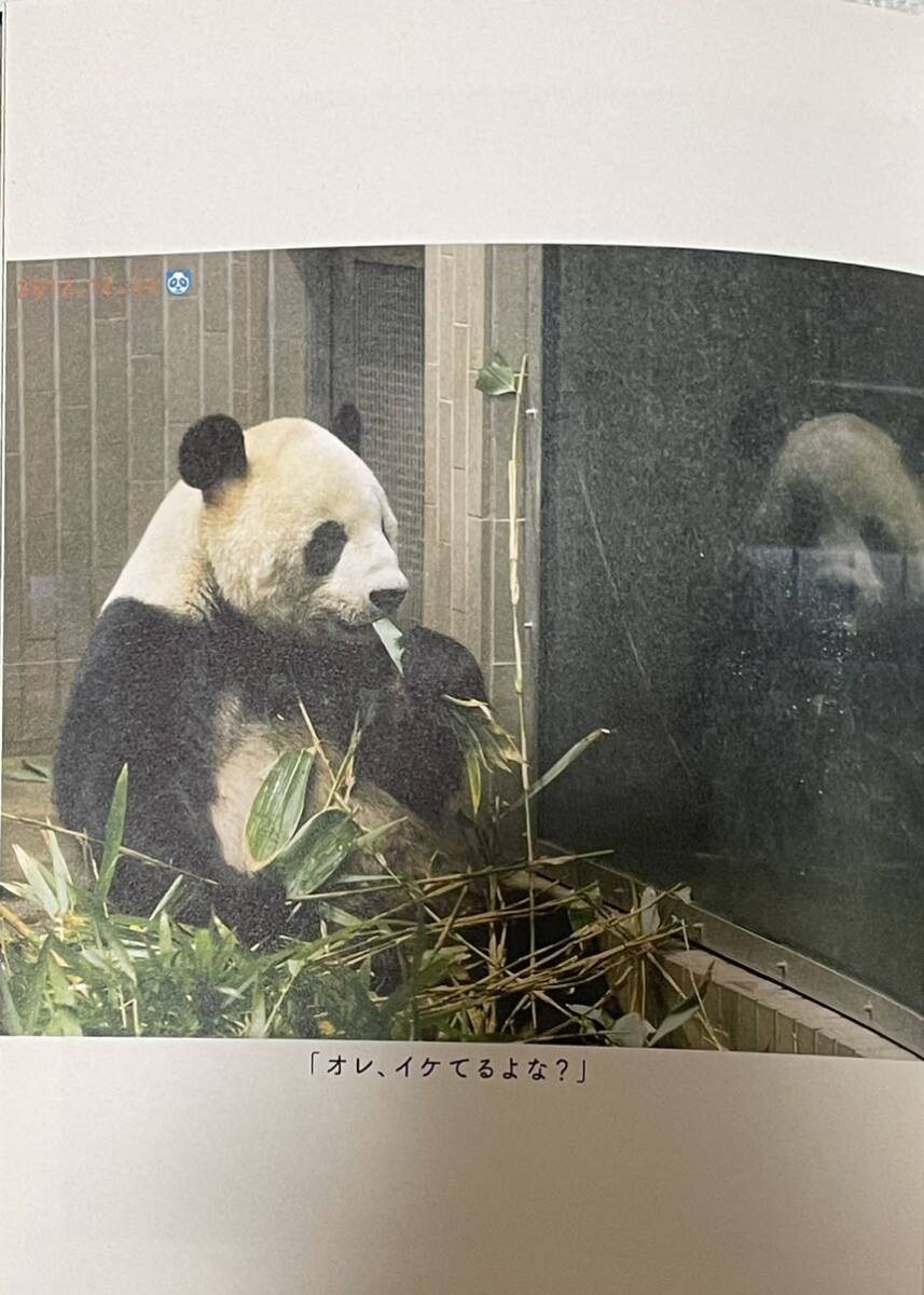 レア 上野動物園 パンダ リーリー シンシン 書籍切り抜き 毎日パンダ 2012年_画像1