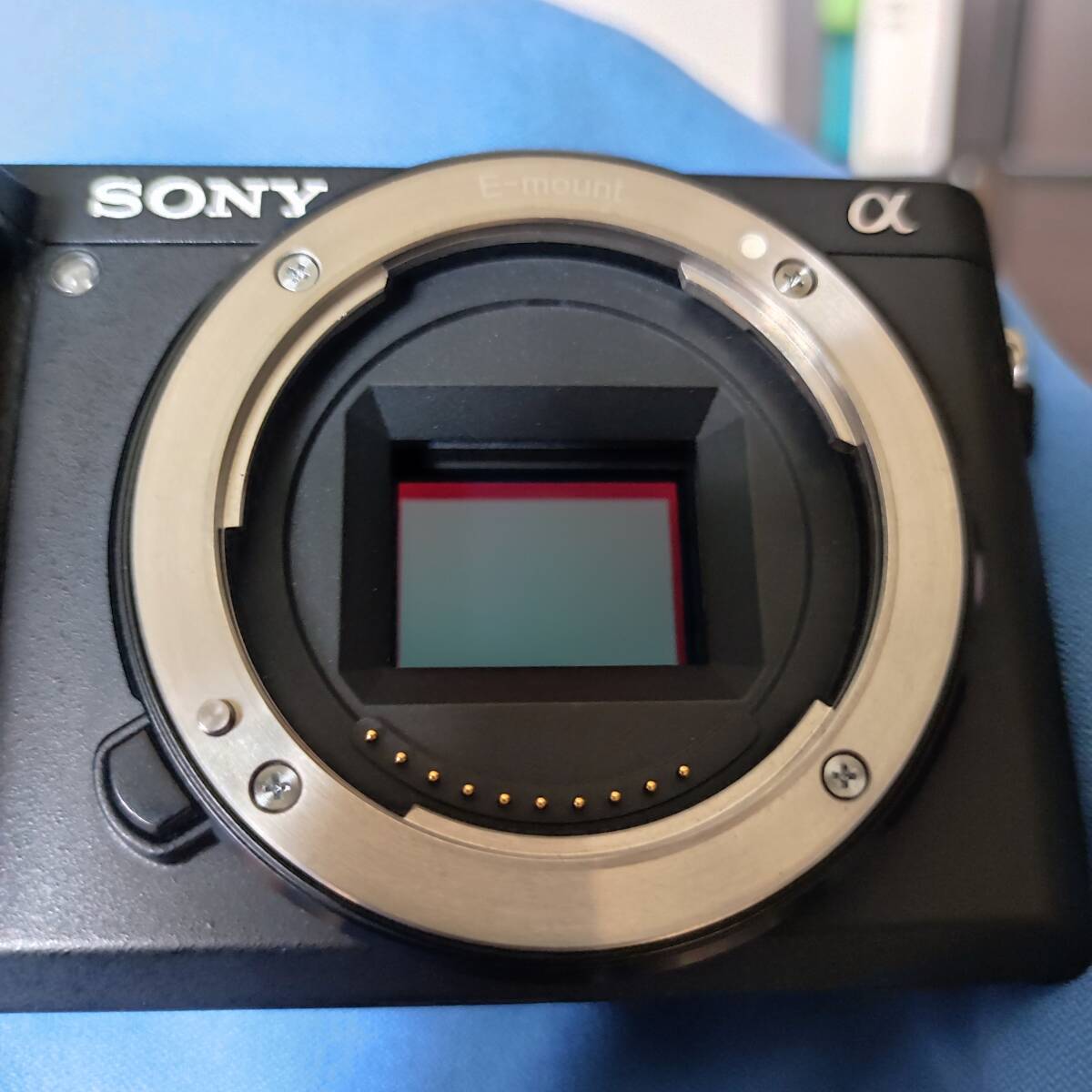 【美品中古】 Sony α6300 + SmallRigのリグの画像4