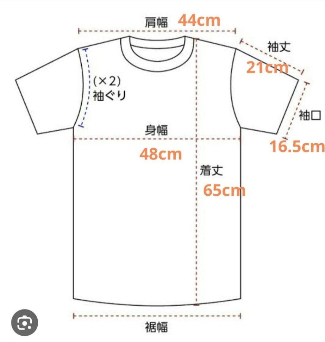  【美品】 トップサイダー  ボーダーTシャツ  半袖  コットン  メンズ 