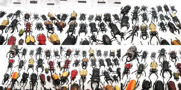 大量 カブトムシ クワガタ 模型 フィギュア 150個以上 まとめ 昆虫 虫 デアゴスティーニ ヘラクレスオオカブト パリーフタマタ ジャンク扱の画像8