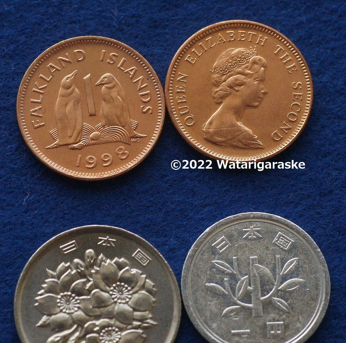 ★ジェンツーペンギンのコインx1枚★英領フォークランド諸島1998年 1ペニー貨 ★おまとめ推奨★の画像2
