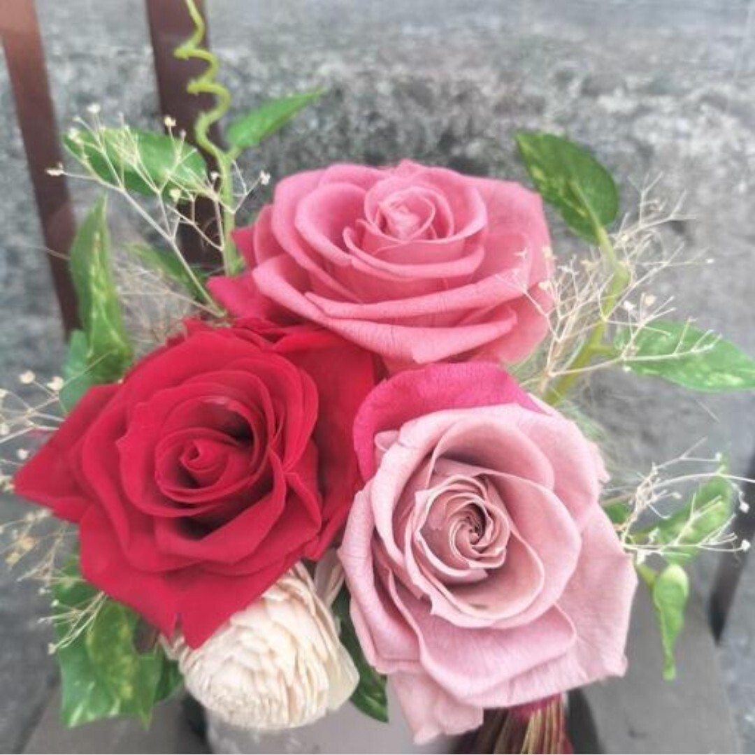 Blizzard цветок роза. букет интерьер . rose интерьер подарок консервированный цветок розовый 