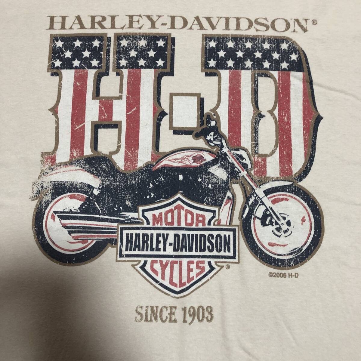 アメリカ製　ハーレーダビッドソン　tシャツ　2000s　00s　2XL　made in USA　バイカー　バイク　2000年代　TEE_画像8