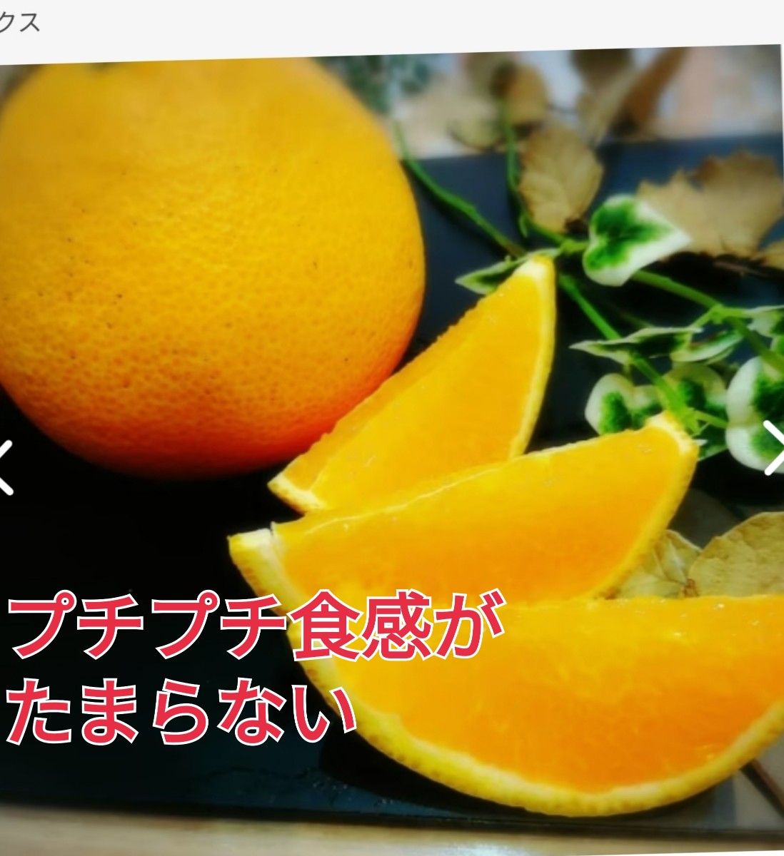 春みかん!プチプチ食感がたまらない！爽やかな甘み！【春峰】サイズミックス　