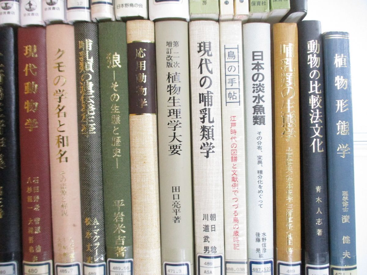 ■02)【同梱不可・除籍本・1円〜】生物学・生態学関連本 まとめ売り約60冊大量セット/植物/昆虫/生理学/進化/動物/形態/遺伝発生/鳥類/Aの画像5