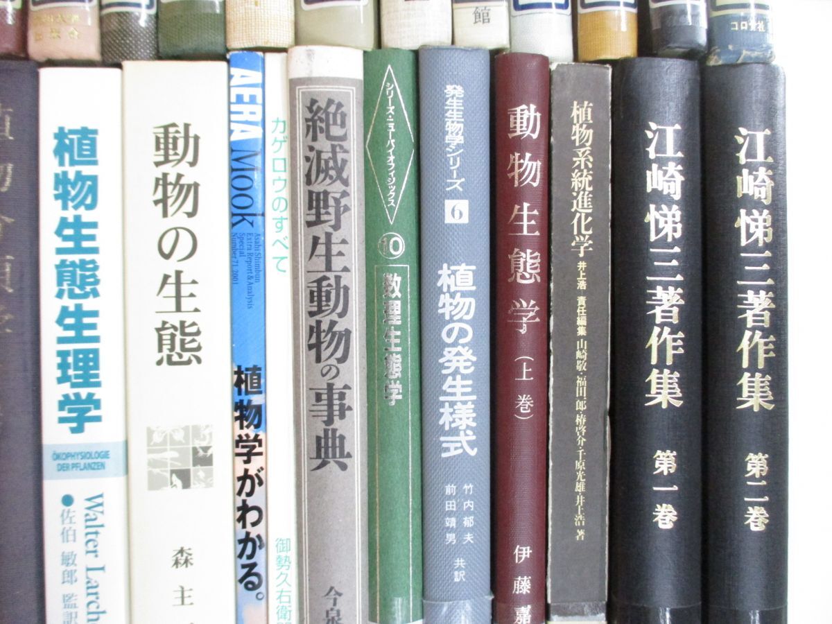 ■02)【同梱不可・除籍本・1円〜】生物学・生態学関連本 まとめ売り約60冊大量セット/植物/昆虫/生理学/進化/動物/形態/遺伝発生/鳥類/Aの画像7