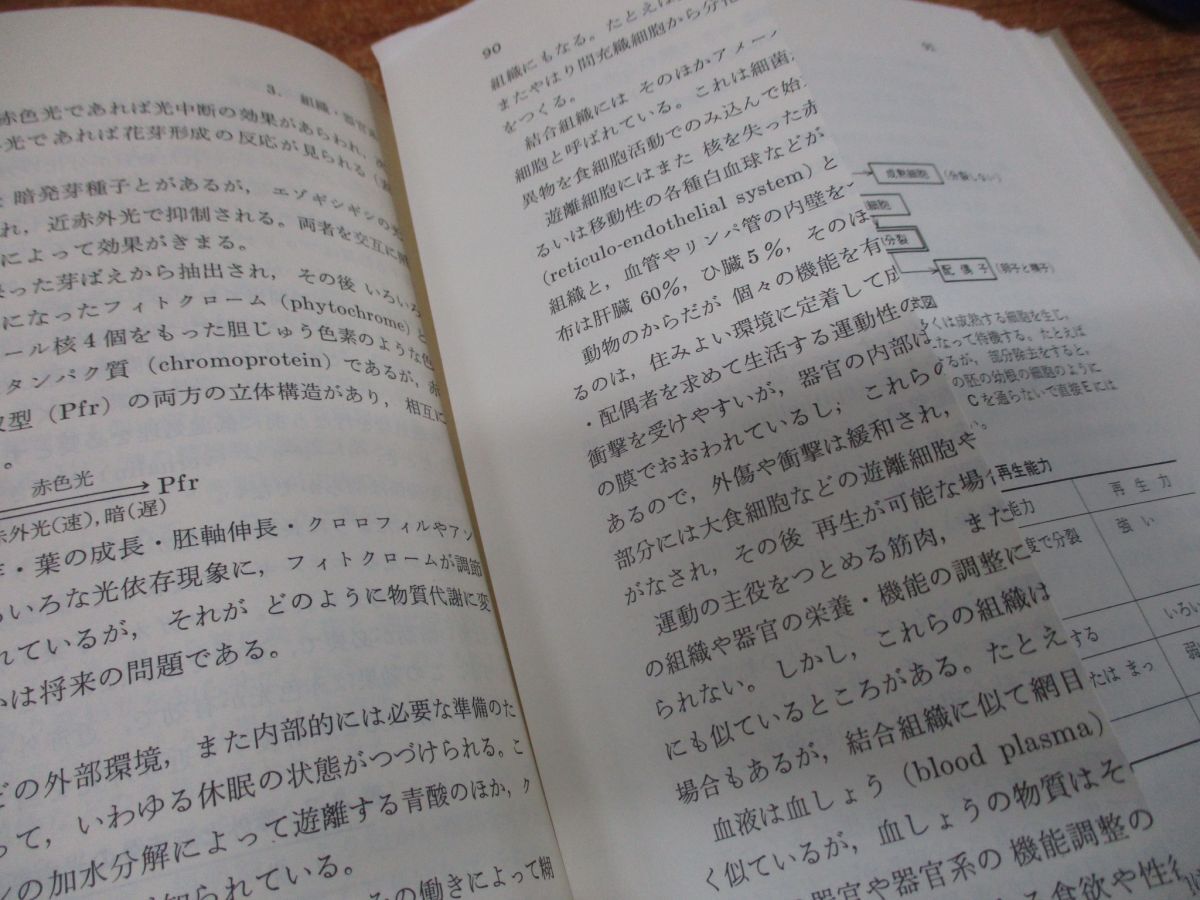 ■03)【同梱不可・図書落ち・1円〜】生物学・生態学関連本まとめ売り約90冊大量セット/進化論/遺伝/生体/分子/生命/バイオテクノロジー/Aの画像10