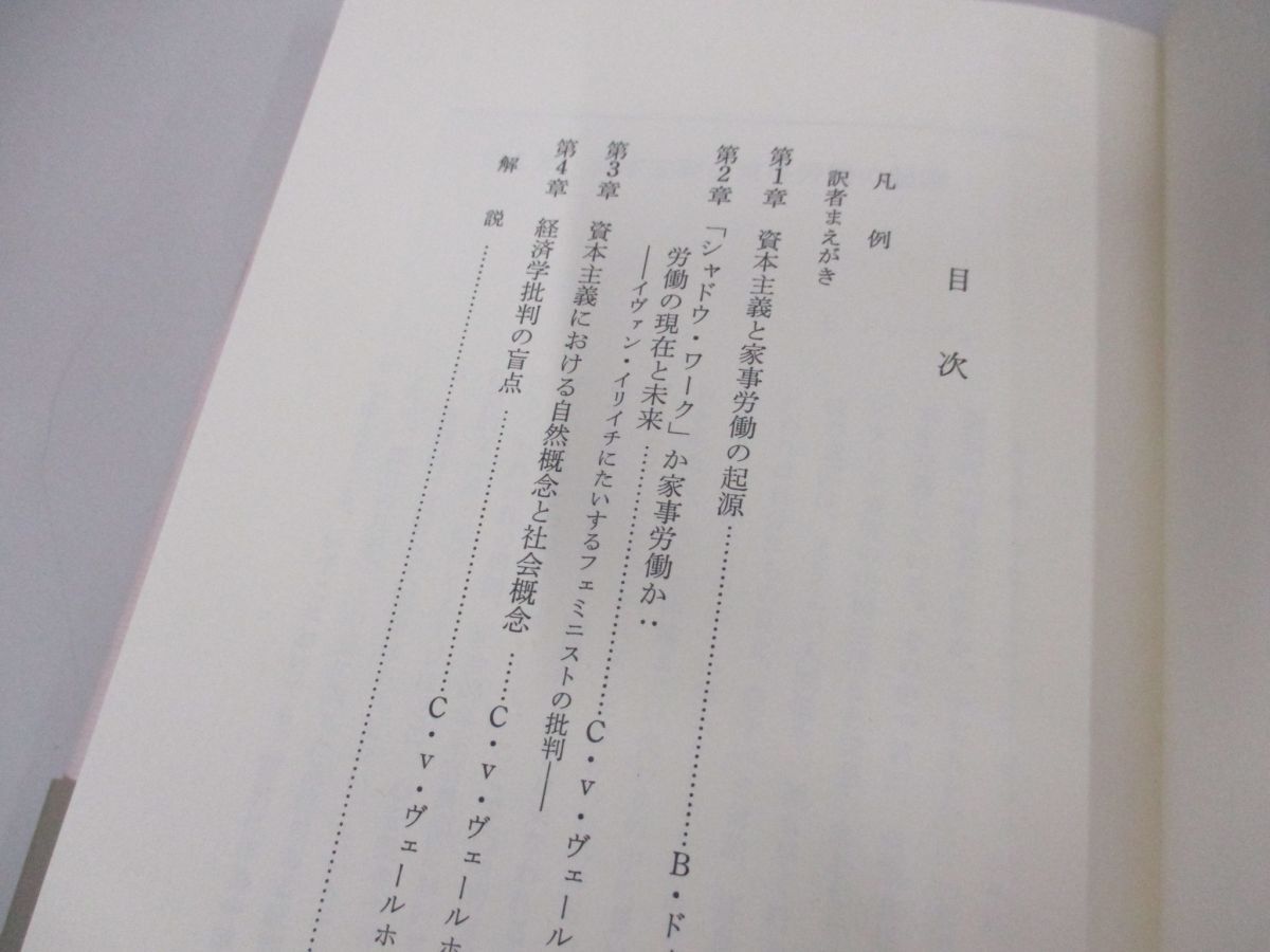 ●01)【同梱不可】家事労働と資本主義/岩波現代選書 特装版/B.ドゥーデン/岩波書店/1998年/A_画像3