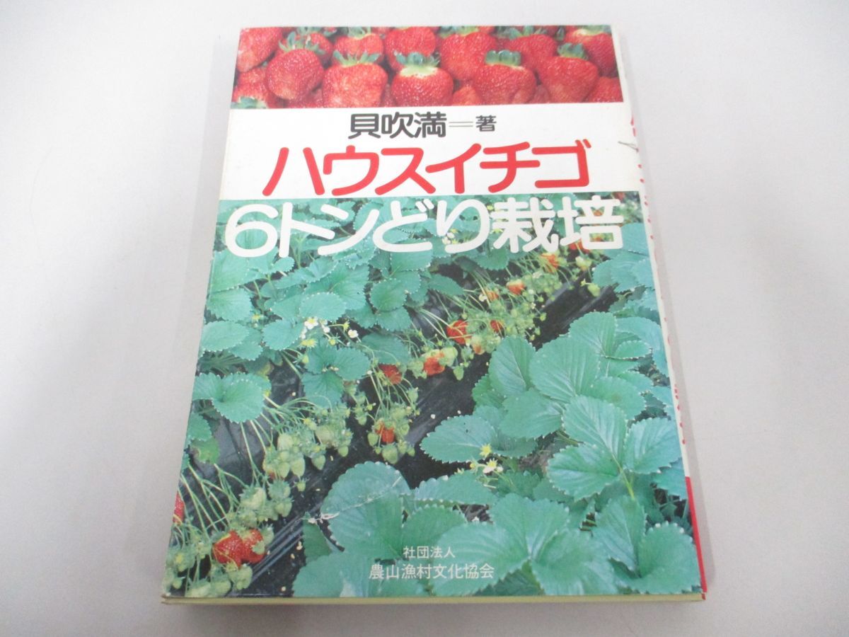 ●01)【同梱不可】ハウスイチゴ 6トンどり栽培/貝吹満/農山漁村文化協会/昭和57年/A_画像1