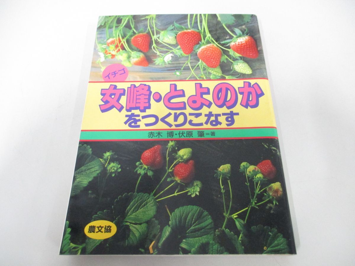 *01)[ including in a package un- possible ] strawberry woman .*... .. making . eggplant / red tree ./.../ agriculture mountain .. culture association /1989 year /A