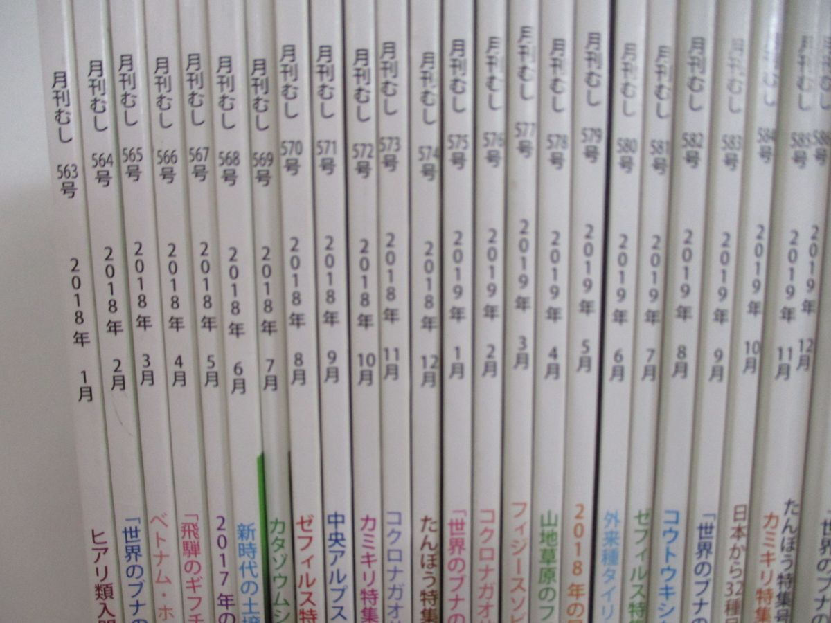 ▲01)【同梱不可】月刊むし 2017年1月号-2021年5月号まで まとめ売り41冊大量セット/甲虫/昆虫/雑誌/バックナンバー/むし社/クワガタ/A_画像2