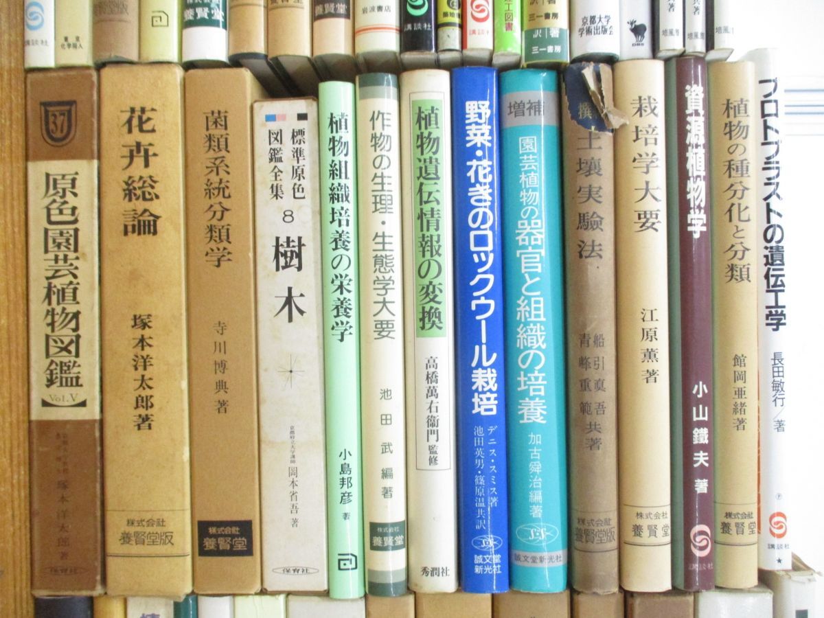 ■02)【同梱不可・1円〜】生物学・農学など関連本まとめ売り約65冊大量セット/生態/遺伝/植物/花木/食品微生物学/バイオテクノロジー/A