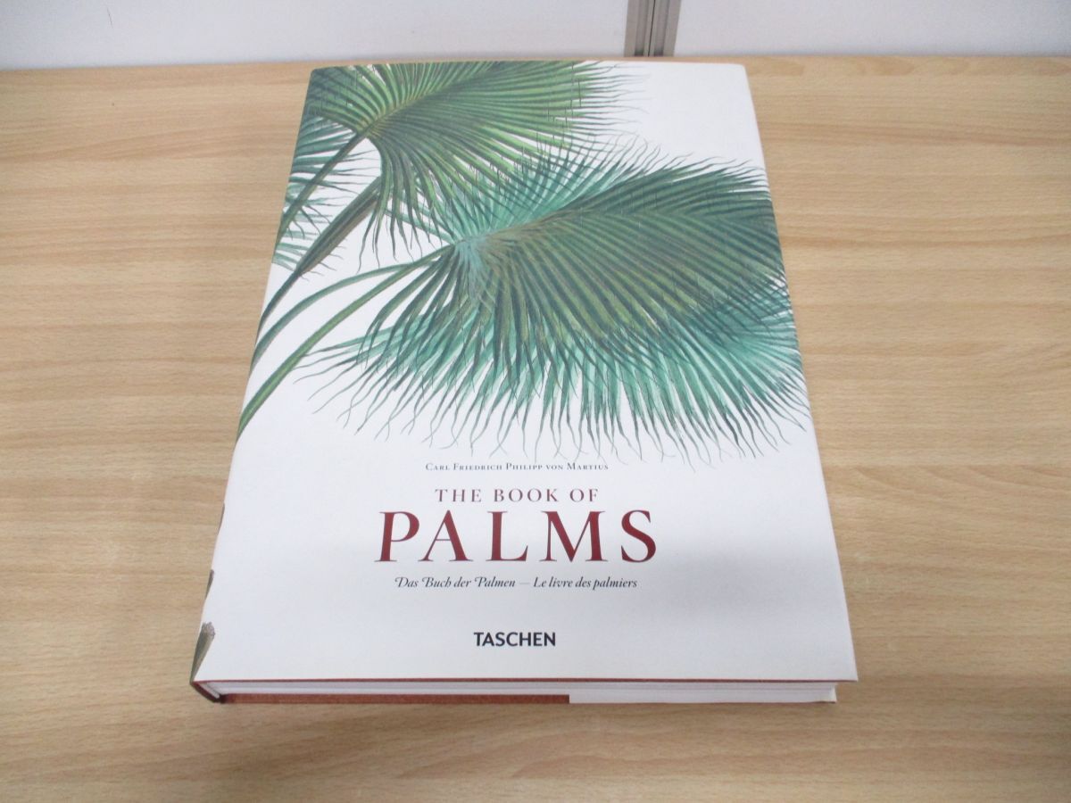 ■01)【同梱不可】The Books Of Palms/Martius/TASCHEN/2010年発行/洋書/ヤシの木/マルティウス/植物学/作品集/図録/画集/断面図/A_画像2