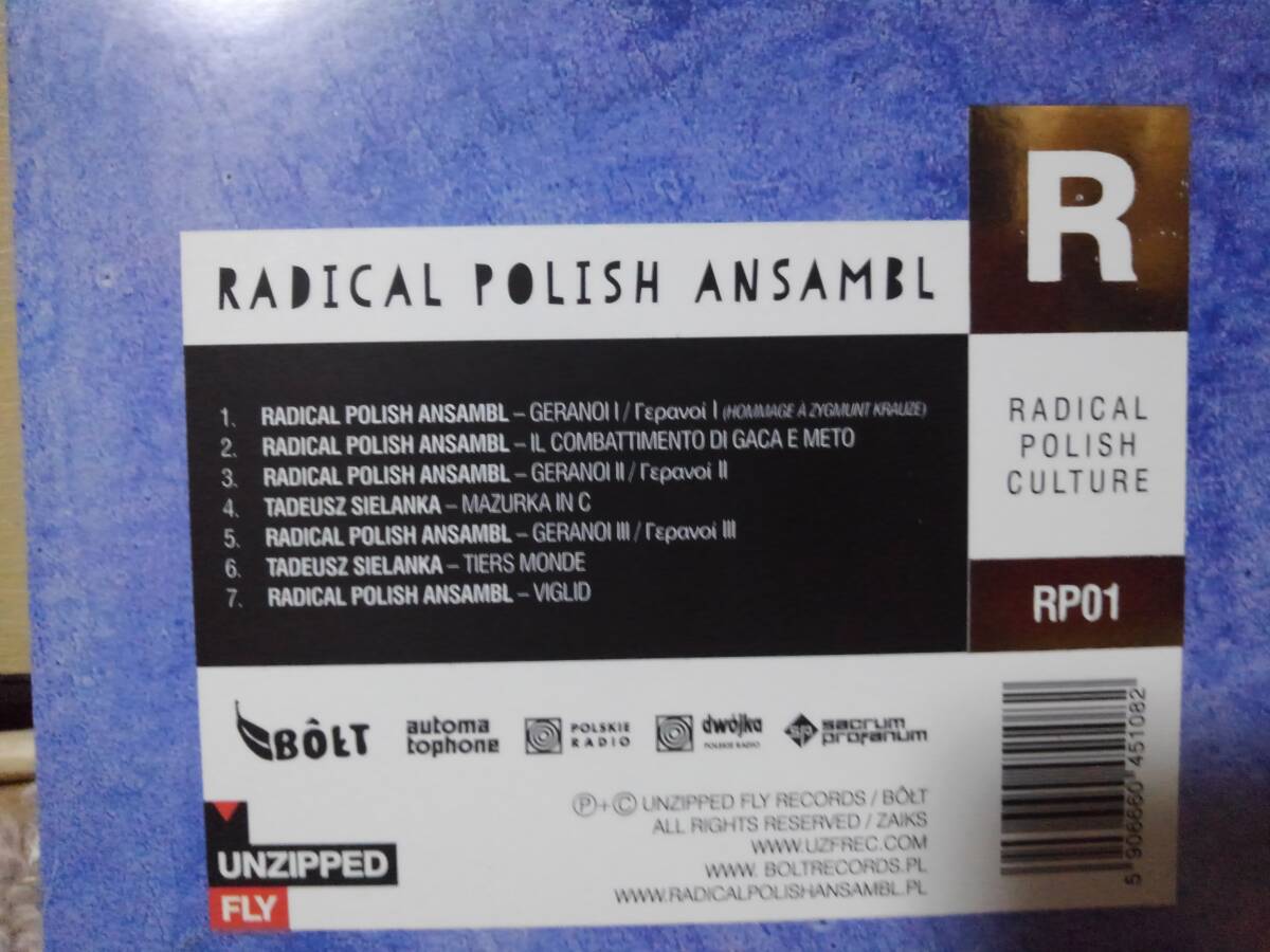 【ポーランド：現代音楽系】Radical Polish Ansambl _画像2