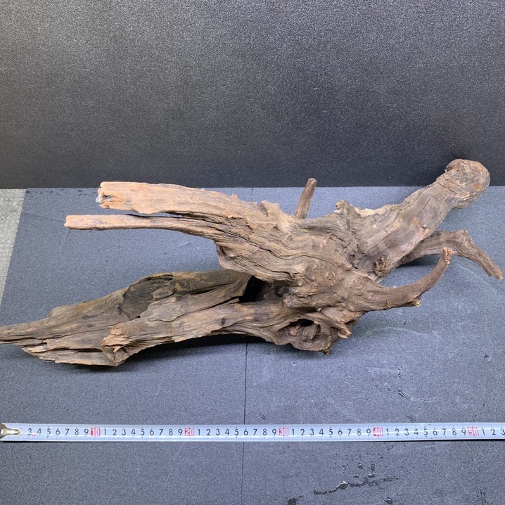  driftwood wood surge L 1 point thing width approximately 60cm No.011libela large natural ak pulling out ending layout aquarium 